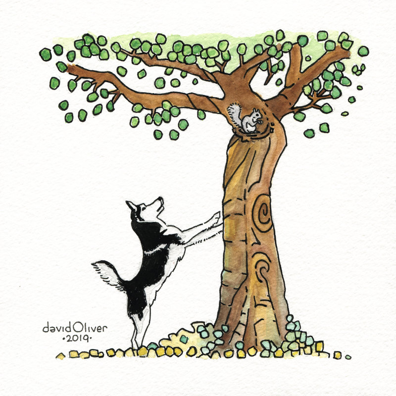 Husky illustration by David Oliver